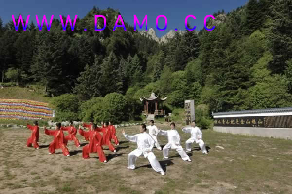 太极拳 易筋经