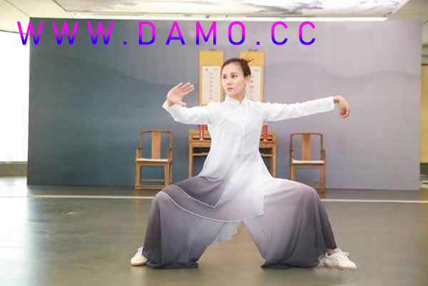 太极拳 易筋经