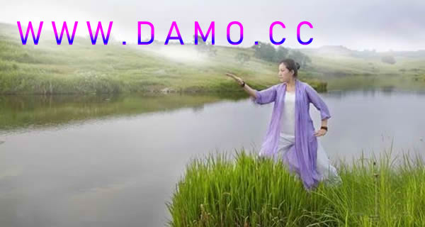 太极拳 易筋经