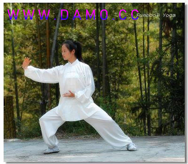 太极拳 易筋经