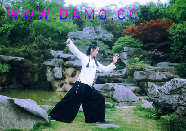 太极拳 易筋经