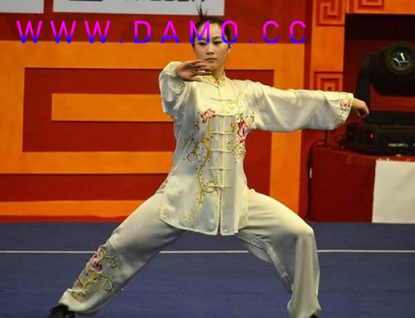太极拳 易筋经