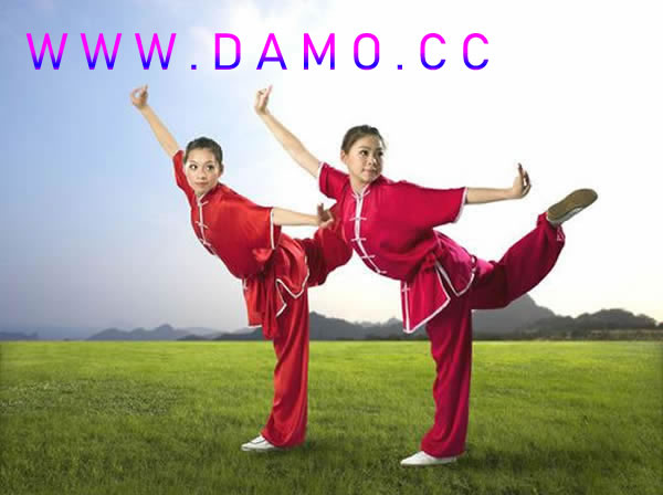 太极拳 易筋经