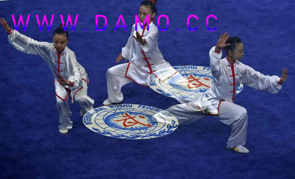 太极拳 易筋经