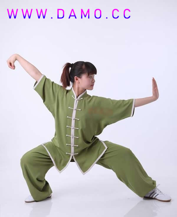 太极拳 易筋经