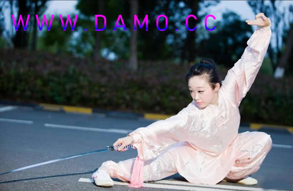太极拳 易筋经