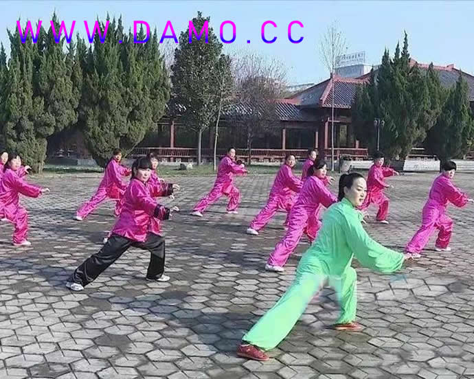 太极拳 易筋经