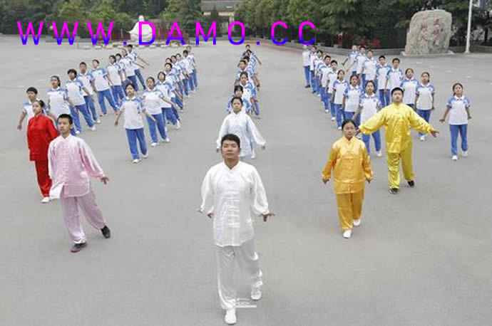 太极拳 易筋经