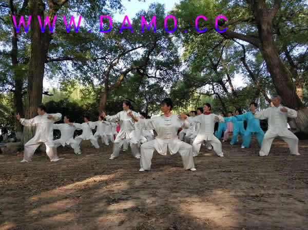 太极拳 易筋经