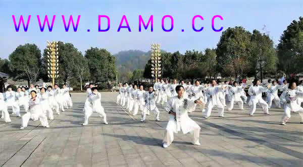 太极拳 易筋经