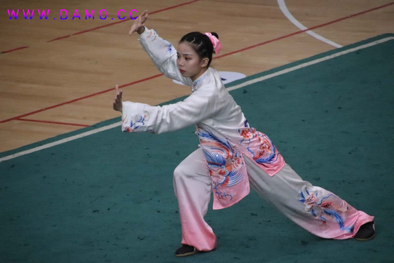 太极拳 易筋经