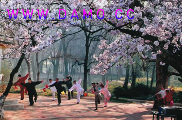 太极拳 易筋经