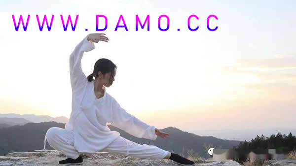 太极拳 易筋经
