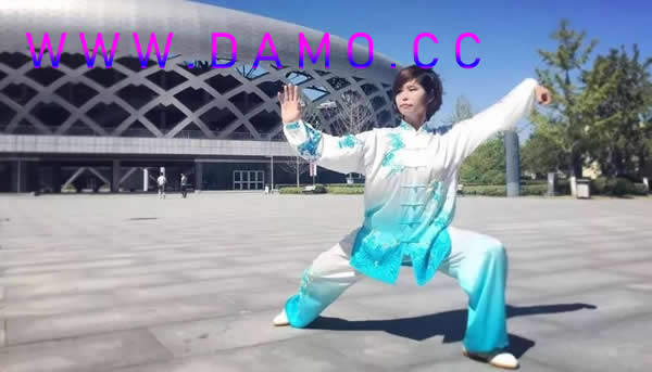 太极拳 易筋经