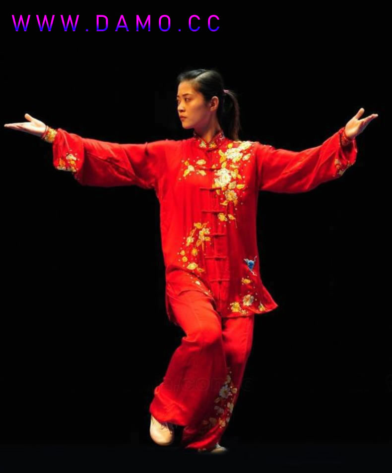 太极拳 易筋经