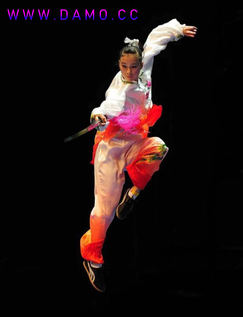 武校 武术