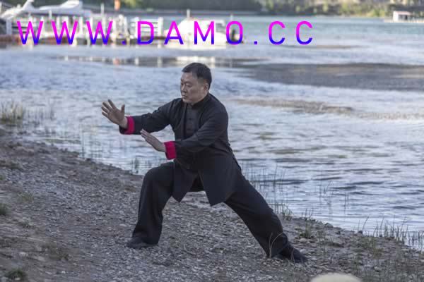 形意拳 易筋经