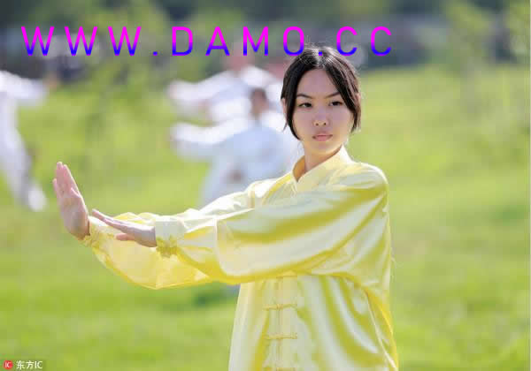 形意拳 易筋经