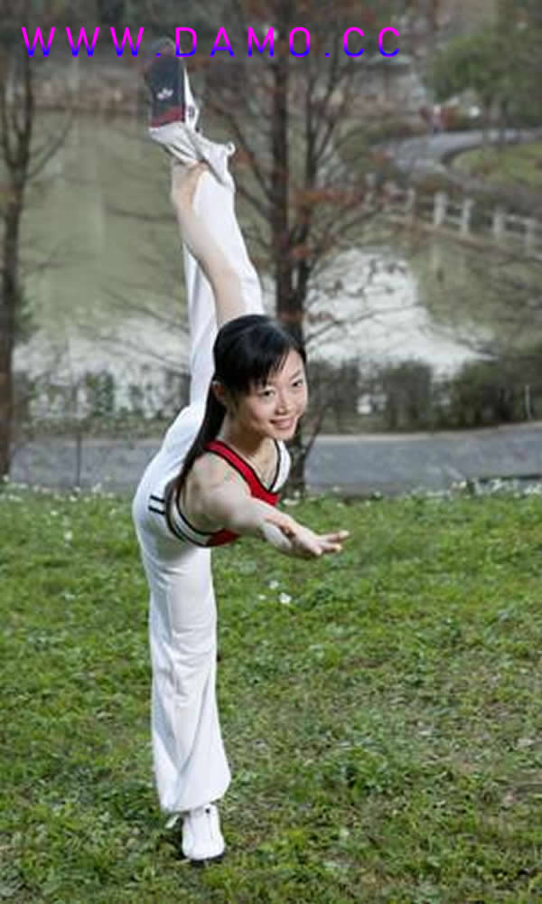 形意拳 易筋经