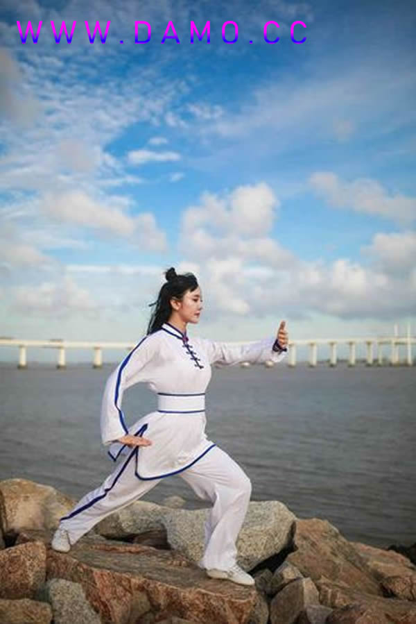 形意拳 易筋经