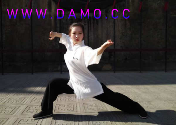 形意拳 易筋经