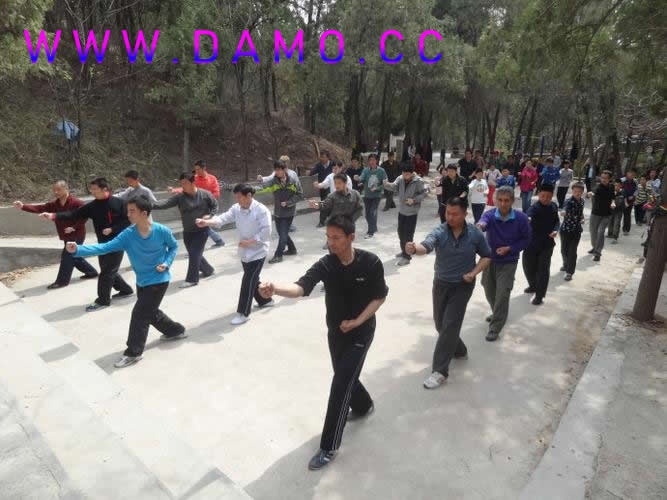 形意拳 易筋经