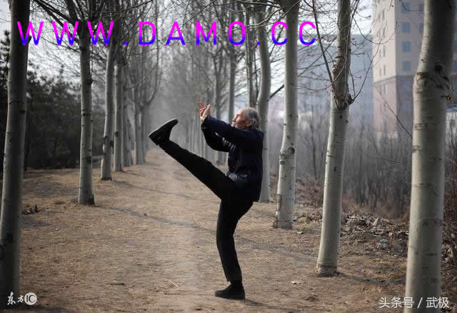 形意拳 易筋经