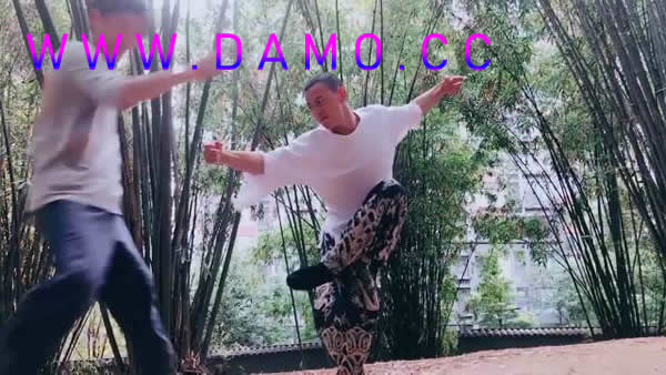心意把 易筋经