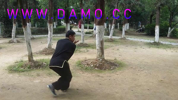 心意把 易筋经