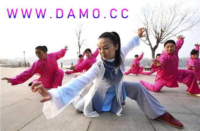 心意把 易筋经