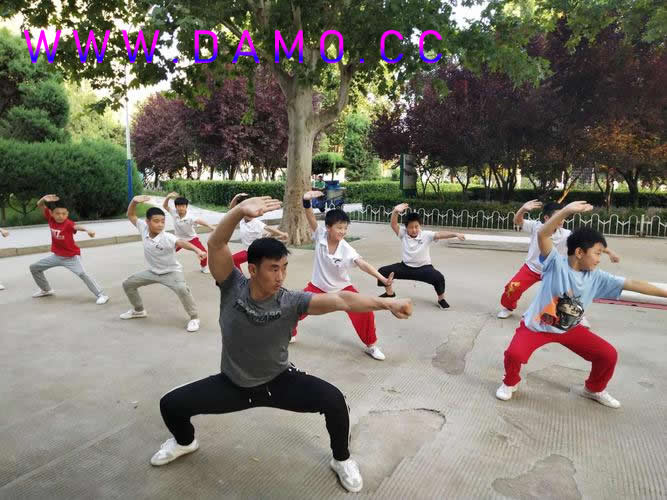 心意把 易筋经