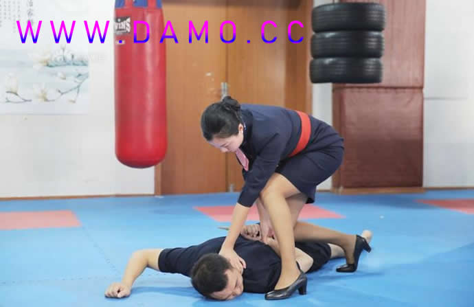 心意把 易筋经