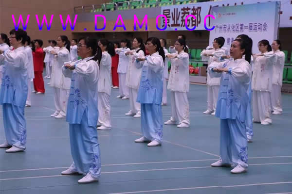 洗髓经 易筋经