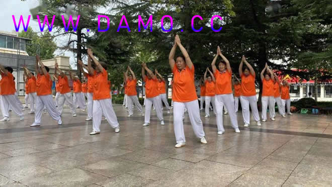 洗髓经 易筋经