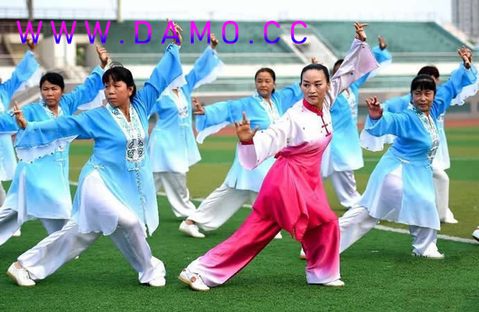 洗髓经 易筋经