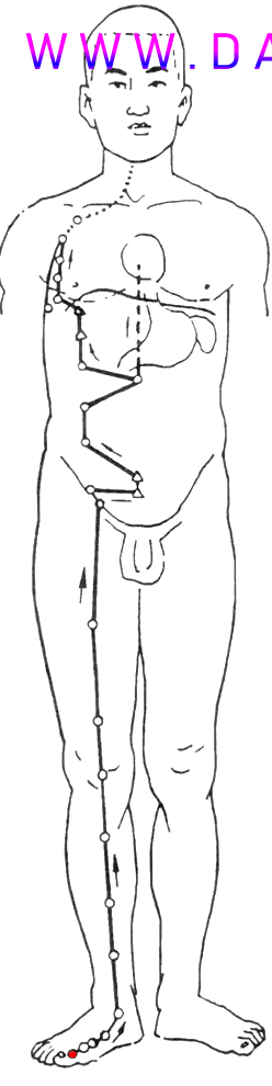 养生课 养生