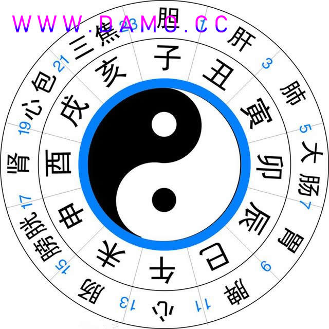 养生课 养生
