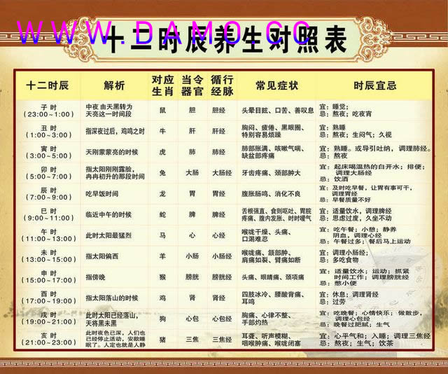 养生课 养生