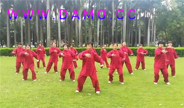 养生课 养生