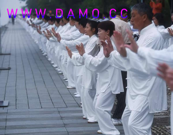养生课 养生