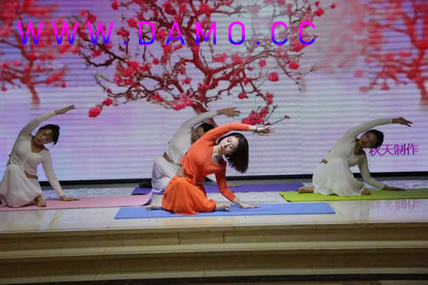 瑜伽网 瑜伽